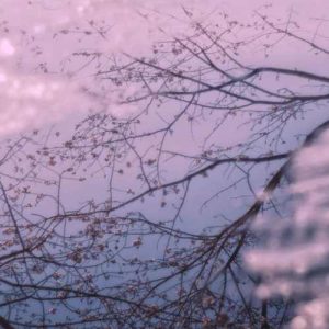 دانلود آهنگ فرشید حکمتی برنو بلند